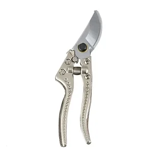 Pruning-Shear-Berrylion-20101828