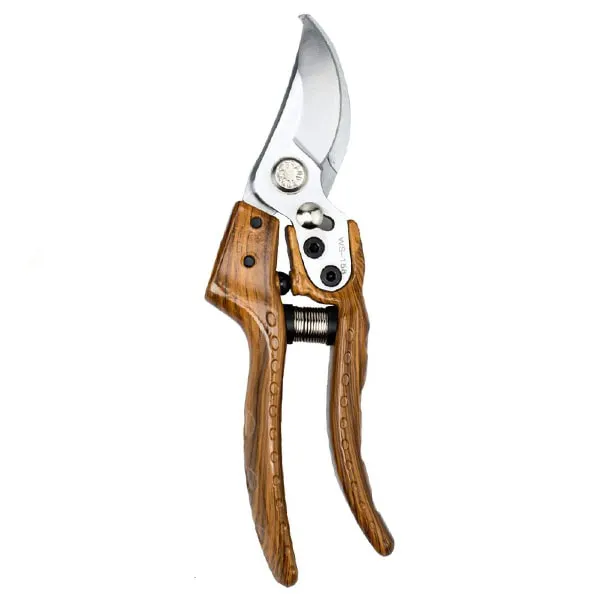 Pruning-Shear-Berrylion-20101858